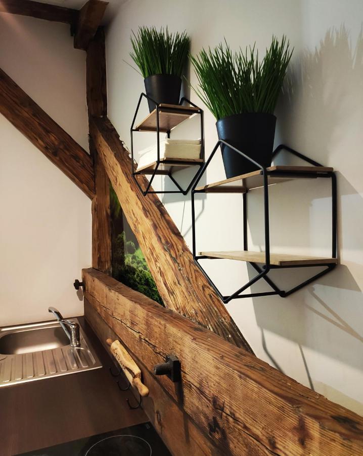 City-Center Apartment Przemyśl Kültér fotó