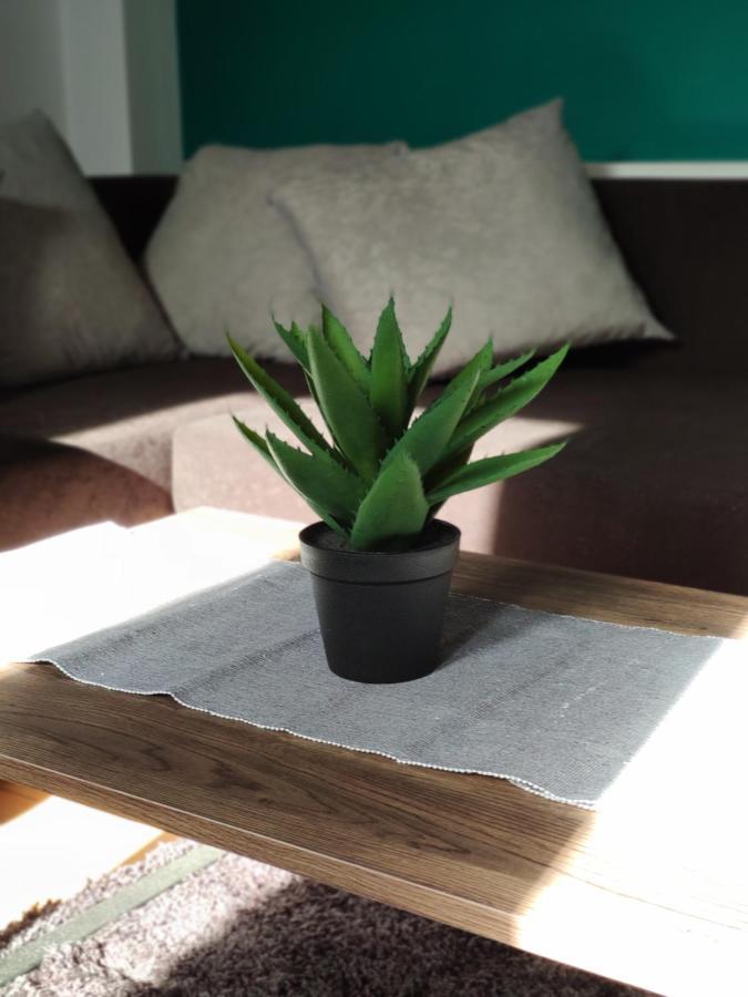City-Center Apartment Przemyśl Kültér fotó